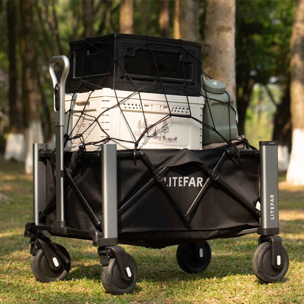 Cargo Net
