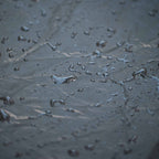 Rain Cover